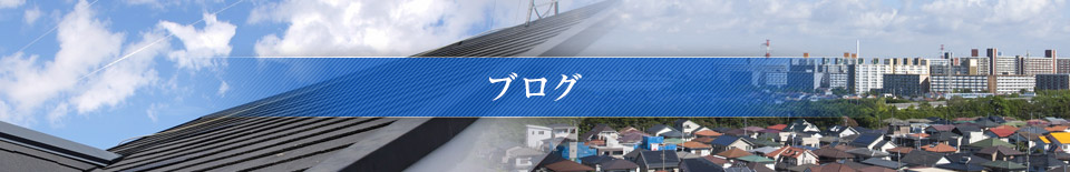 オフィシャルブログ