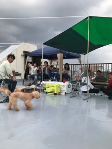 BBQ4