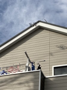 IMG_3481
